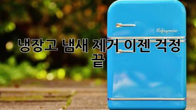 냉장고 냄새 제거, 이젠 걱정 끝! 💨