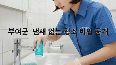 부여군 🏡 냄새 없는 청소 비법 공개! ✨